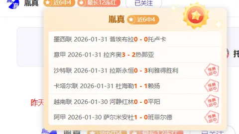张玉宁足球之旅：梦想之光持续闪耀