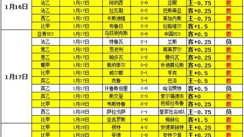 “智博展馆迎来五子游戏高手，精彩互动吸引众多观众目光”